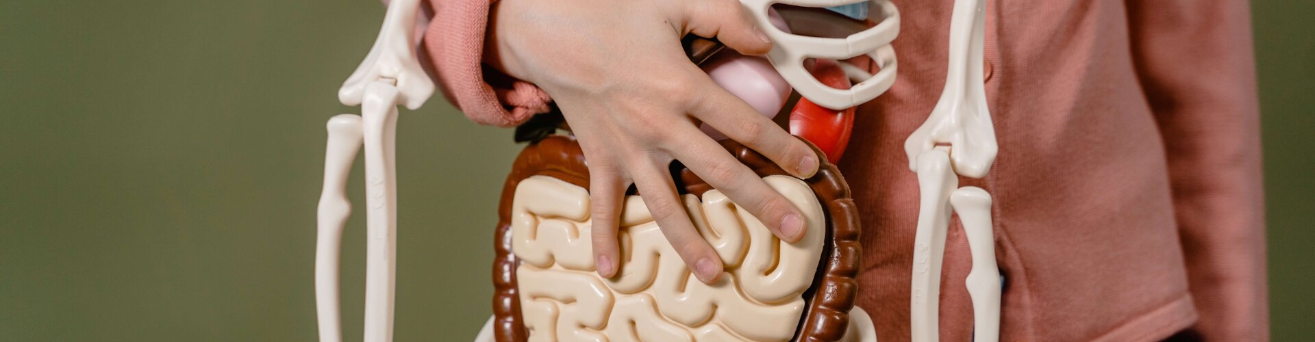 Reffered visceral pain (uitstralende pijn vanuit interne organen)
