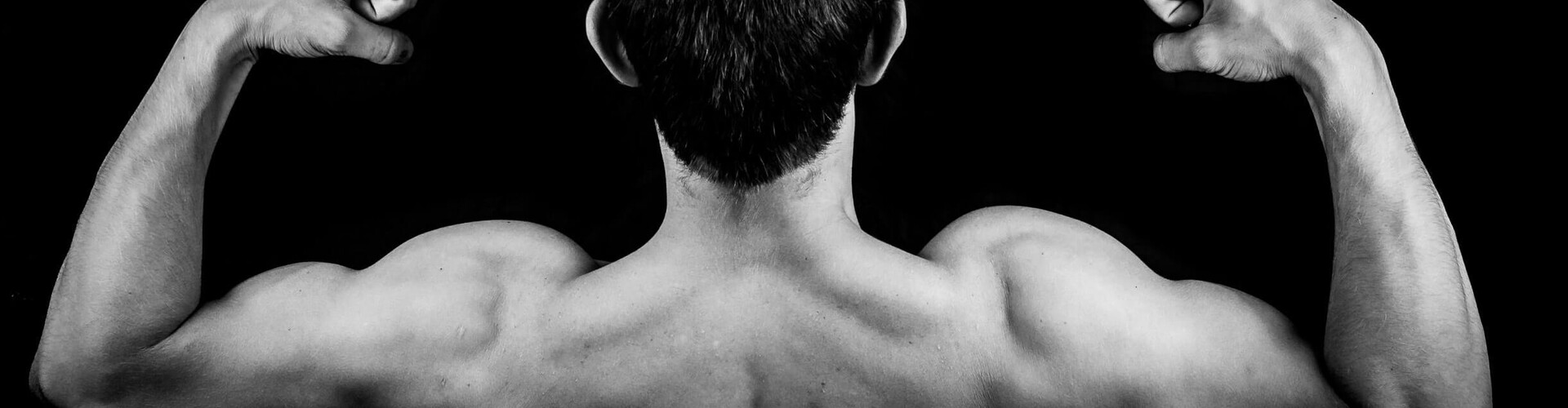 De trainingspijlers: mobiliteit, kracht, uithoudingsvermogen, snelheid en coördinatie