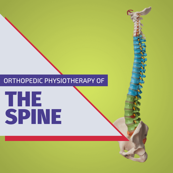 Orthopedic Physiotherapy – Spine